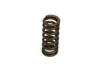 Mopar 5011441AB Spring-Valve