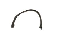 Mopar 68096356AD WEATHERSTRIP-Front Door Opening