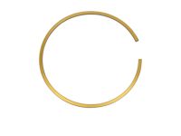 Mopar 68193011AA Snap Ring-LOW/REVERSE Brake