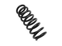 Mopar 68157877AB Rear Coil Spring