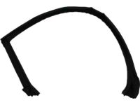Mopar 4575890AH WEATHERSTRIP-Front Door Glass