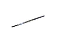 Mopar 68285776AE W/STRIP-Rear Door Belt Outer