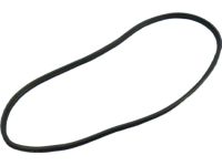 Mopar 55399255AD WEATHERSTRIP-Rear Door Mounted