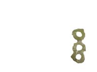 Mopar 6032145 Gasket-Drain Plug