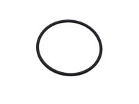 Mopar 68102940AA O Ring
