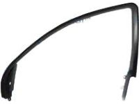 Mopar 1EF03DX9AD Molding-Door Window Opening