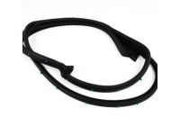 Mopar 5067766AD WEATHERSTRIP-Front Door Mounted