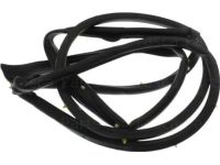 Mopar 5065990AC Front Door Mounted Weatherstrip
