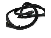 Mopar 5074644AF WEATHERSTRIP-Front Door Mounted