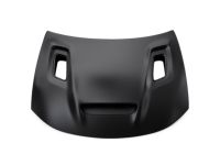 Mopar 68529909AA Hood
