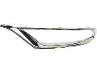 Mopar 5SW15SZ0AB Front Fascia Bezel
