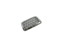 Mopar 6NZ02SZ7AA Grille-Radiator
