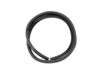 Mopar 4675364 WEATHERSTRIP-Rear Aperture Panel Rear Glass (S)