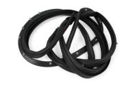 Mopar 68039974AF WEATHERSTRIP-Front Door Mounted