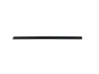 Mopar 68188740AA WEATHERSTRIP-Rear Door Belt Inner