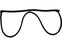 Mopar 5008842AB WEATHERSTRIP-Front Door Mounted
