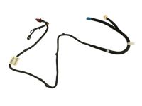 Mopar 5035151AE Wiring-Courtesy Lamp
