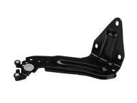 Mopar 5020920AC Sliding Door Hinge