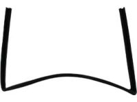 Mopar 55399168AG WEATHERSTRIP-Front Door Glass Run