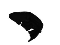 Mopar 68376706AG FENDER-WHEELHOUSE INNER