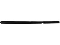 Mopar 55135890AC WEATHERSTRIP-Rear Door Belt