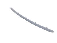 Mopar 6XP45TZZAA APPLIQUE-FASCIA