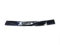 Mopar 68349628AC Check-Front Door