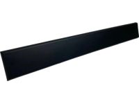 Mopar 1ZT46JXWAB Molding-Body Side