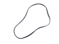 Mopar 68233254AA Strip-Front Door Opening