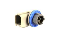 Mopar 68220972AA Socket-Back-Up Lamp