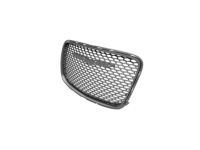 Mopar 5SW16LAUAE Grille-Radiator