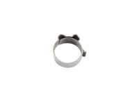 Mopar 6107095AA Clamp-Hose
