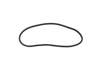 Mopar 55399255AC WEATHERSTRIP-Rear Door Mounted