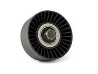 Mopar 53011556AA IDLER