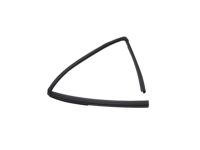 Mopar 68285726AE Front Door Glass Run