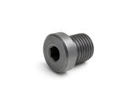 Mopar 6510708AA Plug-Transmission Case