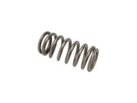 Mopar 5048237AB Spring-Intake Valve