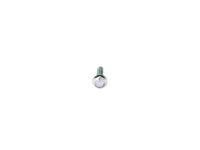 Mopar 68374674AA Bolt-HEXAGON FLANGE Head