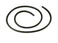 Mopar 5076862AE WEATHERSTRIP-Front Door Opening