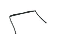 Mopar 68188784AC WEATHERST-Front Door Glass