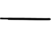 Mopar 55112378AH WEATHERSTRIP-Rear Door Belt Outer