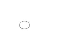 Mopar 68436635AA O Ring