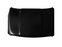 Mopar 68160234AC Hood Panel