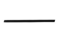 Mopar ZR67RXFAA Molding-Sliding Door