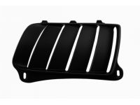 Mopar 68260186AA Bezel-Hood