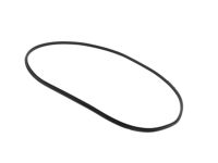 Mopar 68402032AA WEATHERSTRIP-Front Door Body Mounted