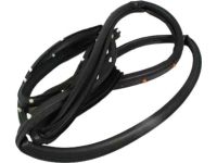 Mopar 55399185AE W/STRIP-Front Door Opening