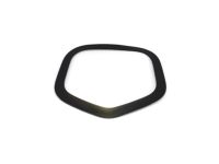 Mopar 68227763AB Bezel-Hood