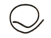 Mopar 68096402AC WEATHERSTRIP-Front Door