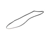 Mopar 68188724AC WEATHERSTRIP-Front Door Opening